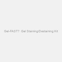 Gel-FAST?  Gel Staining/Destaining Kit